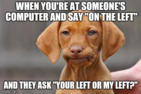 Right or wrong, left or right? | WHEN YOU'RE AT SOMEONE'S COMPUTER AND SAY "ON THE LEFT"; AND THEY ASK "YOUR LEFT OR MY LEFT?" | image tagged in dissapointed puppy,left,right | made w/ Imgflip meme maker
