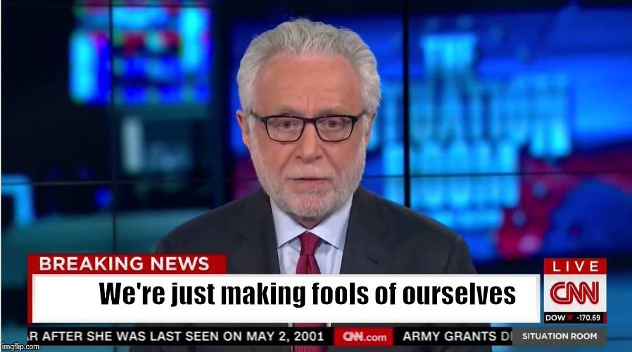 CNN "Wolf of Fake News" Fanfiction | We're just making fools of ourselves | image tagged in cnn wolf of fake news fanfiction | made w/ Imgflip meme maker