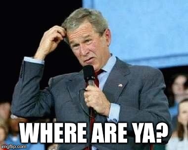 Confused Bush | WHERE ARE YA? | image tagged in confused bush | made w/ Imgflip meme maker