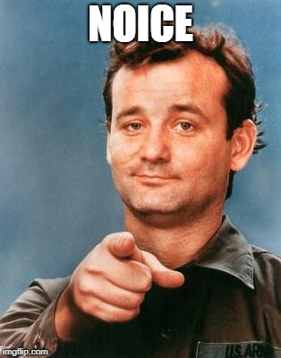 Bill Murray You're Awesome | NOICE | image tagged in bill murray you're awesome | made w/ Imgflip meme maker