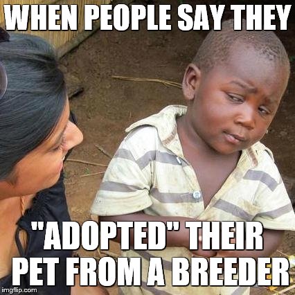 Third World Skeptical Kid |  WHEN PEOPLE SAY THEY; "ADOPTED" THEIR PET FROM A BREEDER | image tagged in memes,third world skeptical kid | made w/ Imgflip meme maker