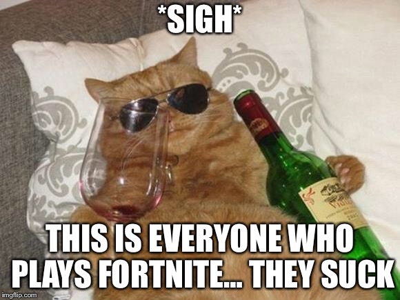 Funny Cat Birthday | *SIGH*; THIS IS EVERYONE WHO PLAYS FORTNITE… THEY SUCK | image tagged in funny cat birthday | made w/ Imgflip meme maker