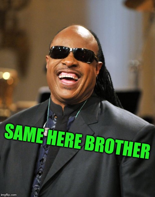 Stevie Wonder | SAME HERE BROTHER | image tagged in stevie wonder | made w/ Imgflip meme maker