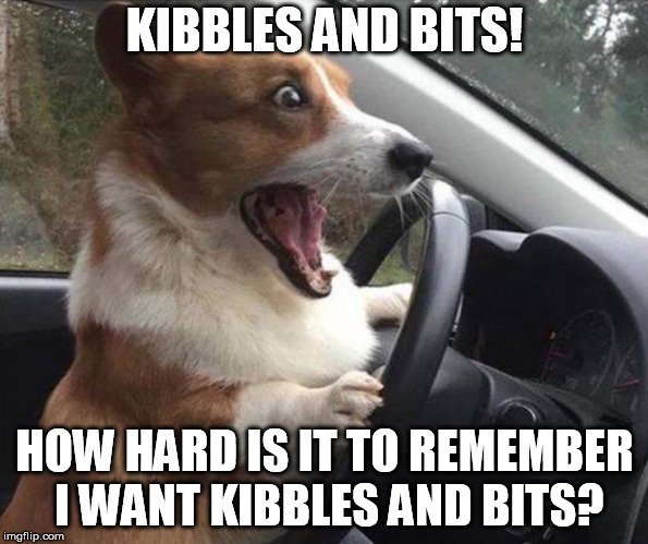 dog driving | KIBBLES AND BITS! HOW HARD IS IT TO REMEMBER I WANT KIBBLES AND BITS? | image tagged in dog driving | made w/ Imgflip meme maker