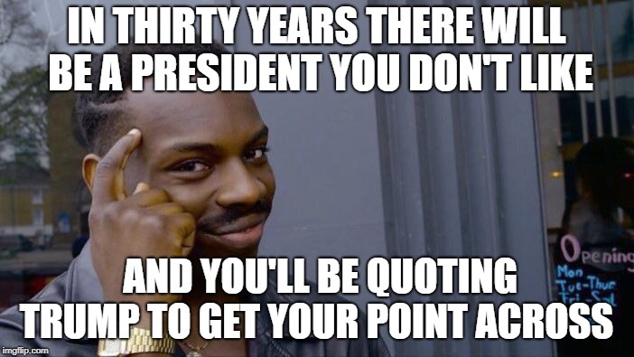 Roll Safe Think About It Meme | IN THIRTY YEARS THERE WILL BE A PRESIDENT YOU DON'T LIKE AND YOU'LL BE QUOTING TRUMP TO GET YOUR POINT ACROSS | image tagged in memes,roll safe think about it | made w/ Imgflip meme maker
