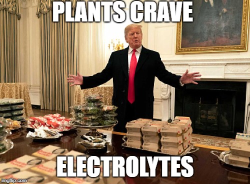 Plants crave electrolytes | PLANTS CRAVE; ELECTROLYTES | image tagged in make donald drumpf again,burgers,idiocracy | made w/ Imgflip meme maker