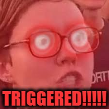 Triggered | TRIGGERED!!!!! | image tagged in triggered | made w/ Imgflip meme maker