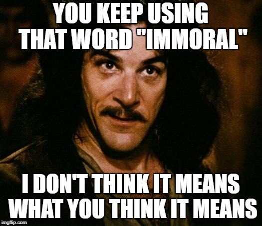 Inigo Montoya Meme | YOU KEEP USING THAT WORD "IMMORAL"; I DON'T THINK IT MEANS WHAT YOU THINK IT MEANS | image tagged in memes,inigo montoya | made w/ Imgflip meme maker