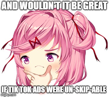 AND WOULDN'T IT BE GREAT IF TIK TOK ADS WERE UN-SKIP-ABLE | made w/ Imgflip meme maker