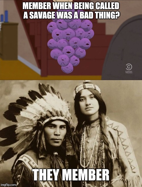 Savage; Insult Or Compliment? *REMAKE* | MEMBER WHEN BEING CALLED A SAVAGE WAS A BAD THING? THEY MEMBER | image tagged in memes,member berries,savage,native americans,indians,remember when | made w/ Imgflip meme maker