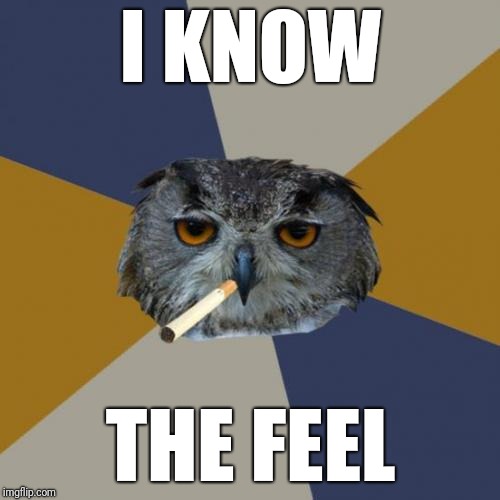 Art Student Owl Meme | I KNOW THE FEEL | image tagged in memes,art student owl | made w/ Imgflip meme maker