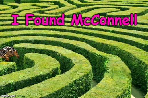Where's Mitch? | I Found McConnell | image tagged in mitch mcconnell,gop | made w/ Imgflip meme maker