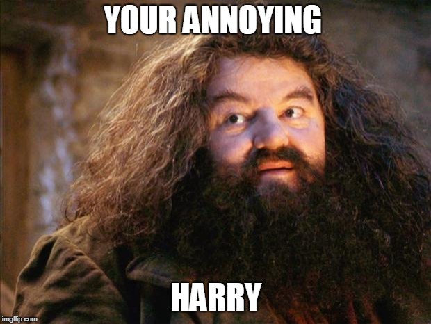 Hagrid | YOUR ANNOYING HARRY | image tagged in hagrid | made w/ Imgflip meme maker