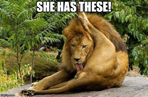 lion licking balls | SHE HAS THESE! | image tagged in lion licking balls | made w/ Imgflip meme maker