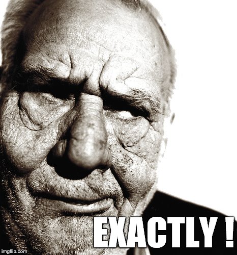 Skeptical old man | EXACTLY ! | image tagged in skeptical old man | made w/ Imgflip meme maker