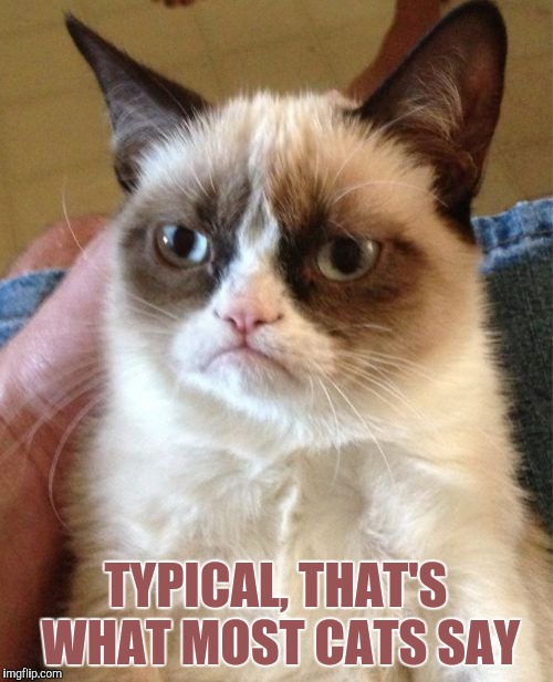 Grumpy Cat Meme | TYPICAL, THAT'S WHAT MOST CATS SAY | image tagged in memes,grumpy cat | made w/ Imgflip meme maker