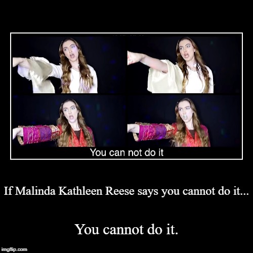 Meme says all | image tagged in funny,demotivationals,malinda kathleen reese,abba,translation fail | made w/ Imgflip demotivational maker