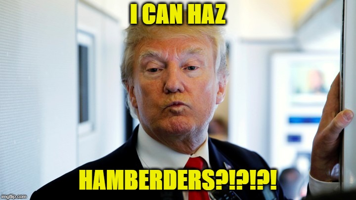 I CAN HAZ; HAMBERDERS?!?!?! | image tagged in donald trump | made w/ Imgflip meme maker