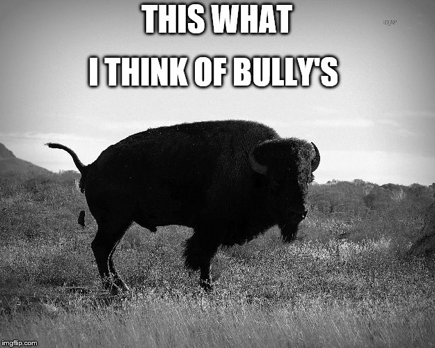 this what I think of bully's | I THINK OF BULLY'S; THIS WHAT | image tagged in bull shit,bully's,bull,memes,meme,what i think | made w/ Imgflip meme maker