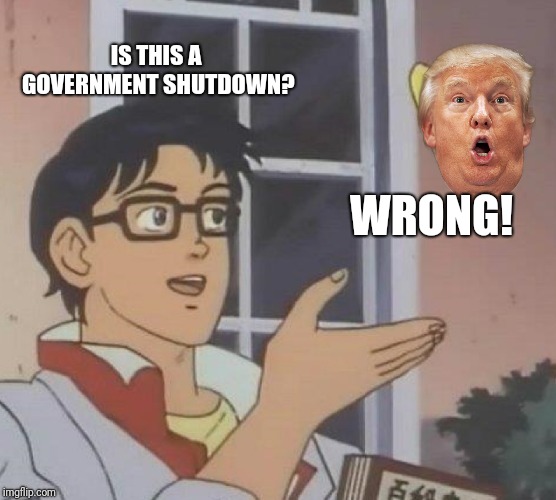 Is it, though? | IS THIS A GOVERNMENT SHUTDOWN? WRONG! | image tagged in memes,is this a pigeon,trump,politics,goverment shutdown,usa | made w/ Imgflip meme maker