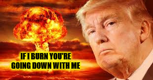 Donald Trump's America  | IF I BURN YOU'RE GOING DOWN WITH ME | image tagged in cohen,mega,trump,pray,gop,republican | made w/ Imgflip meme maker