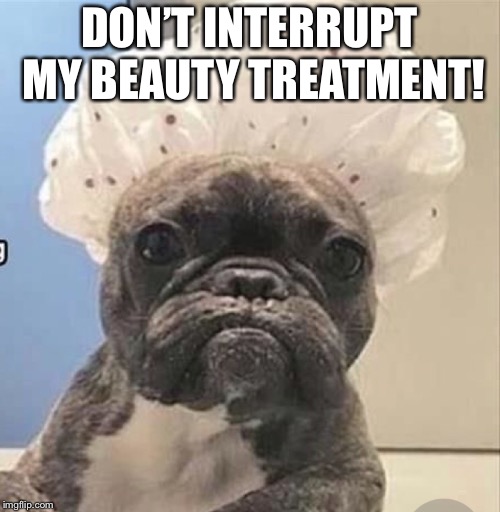 DON’T INTERRUPT MY BEAUTY TREATMENT! | made w/ Imgflip meme maker