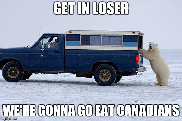 GET IN LOSER; WE'RE GONNA GO EAT CANADIANS | image tagged in memes,funny | made w/ Imgflip meme maker