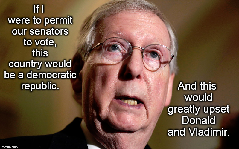 If I were to permit our senators to vote, this country would be a democratic republic. And this would greatly upset Donald and Vladimir. | image tagged in mitch mcconnell,democracy,republic,donald trump,vladimir putin | made w/ Imgflip meme maker