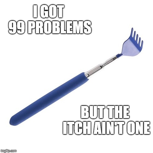 I GOT 99 PROBLEMS; BUT THE ITCH AIN'T ONE | image tagged in back scratcher | made w/ Imgflip meme maker