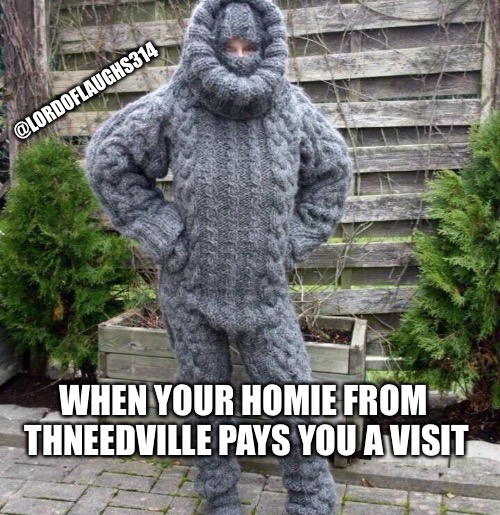 Everybody needs a Thneed!!! | @LORDOFLAUGHS314; WHEN YOUR HOMIE FROM THNEEDVILLE PAYS YOU A VISIT | image tagged in the lorax | made w/ Imgflip meme maker