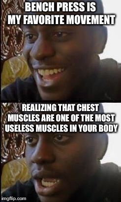 Chest Day | BENCH PRESS IS MY FAVORITE MOVEMENT; REALIZING THAT CHEST MUSCLES ARE ONE OF THE MOST USELESS MUSCLES IN YOUR BODY | image tagged in disappointed black guy,workout,gym,memes | made w/ Imgflip meme maker