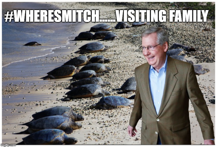 #wheresmitch | #WHERESMITCH......VISITING FAMILY | image tagged in alexandria ocasio-cortez,mitch mcconnell,senate,government shutdown | made w/ Imgflip meme maker