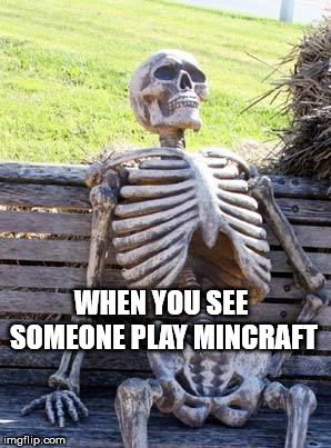 Waiting Skeleton | WHEN YOU SEE SOMEONE PLAY MINCRAFT | image tagged in memes,waiting skeleton | made w/ Imgflip meme maker