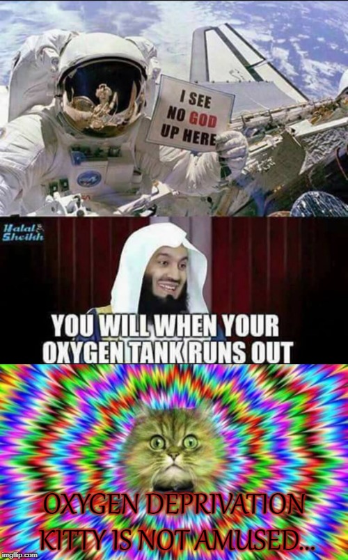 OXYGEN DEPRIVATION KITTY IS NOT AMUSED... | image tagged in sarcasm | made w/ Imgflip meme maker