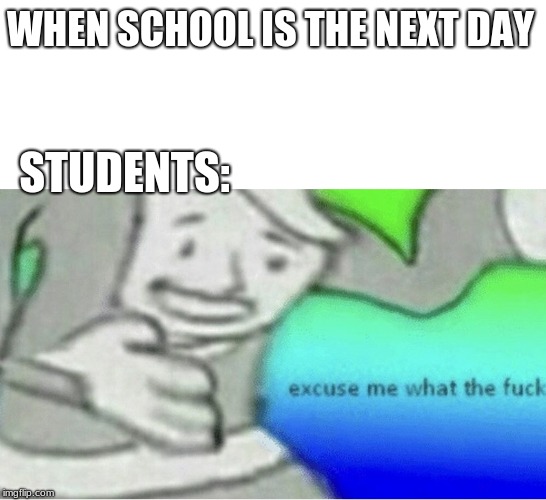 Excuse me wtf blank template | WHEN SCHOOL IS THE NEXT DAY; STUDENTS: | image tagged in excuse me wtf blank template | made w/ Imgflip meme maker