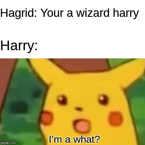 Surprised Pikachu Meme | Hagrid: Your a wizard harry; Harry:; I'm a what? | image tagged in memes,surprised pikachu | made w/ Imgflip meme maker
