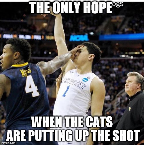 Kentucky basketball | THE ONLY HOPE; WHEN THE CATS ARE PUTTING UP THE SHOT | image tagged in kentucky basketball | made w/ Imgflip meme maker