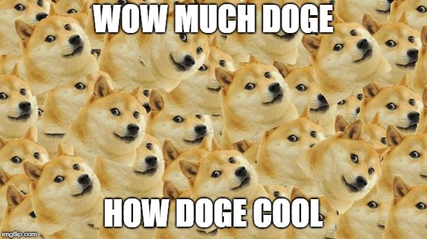 Multi Doge | WOW MUCH DOGE; HOW DOGE COOL | image tagged in memes,multi doge | made w/ Imgflip meme maker