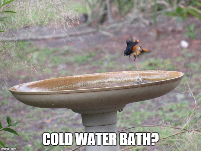 COLD WATER BATH? | made w/ Imgflip meme maker
