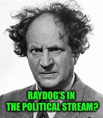 RAYDOG’S IN THE POLITICAL STREAM? | made w/ Imgflip meme maker