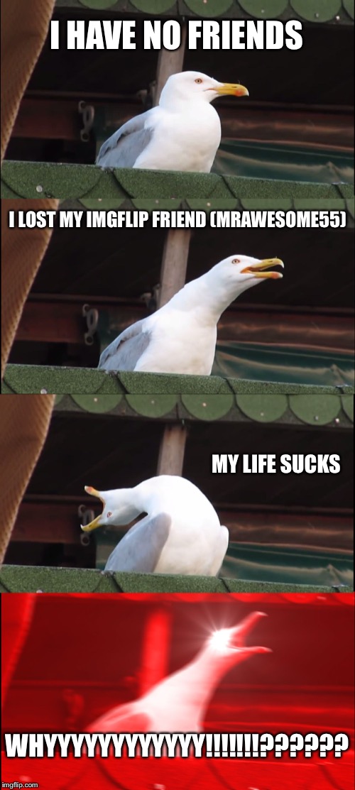 Imgflip users, please help me. | I HAVE NO FRIENDS; I LOST MY IMGFLIP FRIEND (MRAWESOME55); MY LIFE SUCKS; WHYYYYYYYYYYYY!!!!!!!?????? | image tagged in memes,inhaling seagull,funny,my life sucks,imgflip,imgflip community | made w/ Imgflip meme maker