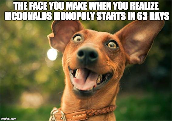 Happy dog | THE FACE YOU MAKE WHEN YOU REALIZE MCDONALDS MONOPOLY STARTS IN 63 DAYS | image tagged in happy dog | made w/ Imgflip meme maker