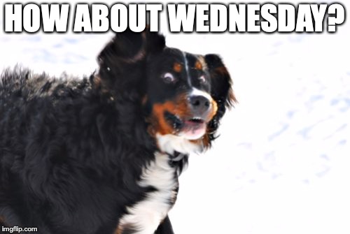 Crazy Dawg Meme | HOW ABOUT WEDNESDAY? | image tagged in memes,crazy dawg | made w/ Imgflip meme maker