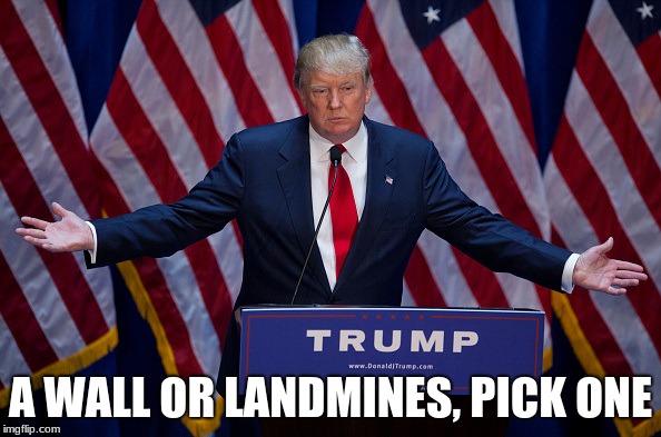 A wall is only the 1st option.  | A WALL OR LANDMINES, PICK ONE | image tagged in donald trump,mine the border,build the wall,maga,border security,no wall no votes | made w/ Imgflip meme maker