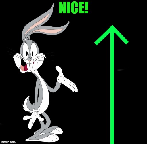 upvote rabbit | NICE! | image tagged in upvote rabbit | made w/ Imgflip meme maker