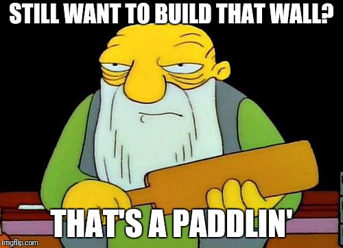 Wacky Wall Paddle Wack | STILL WANT TO BUILD THAT WALL? THAT'S A PADDLIN' | image tagged in memes,that's a paddlin',trump wall | made w/ Imgflip meme maker