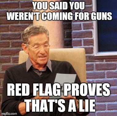 Maury Lie Detector | YOU SAID YOU WEREN'T COMING FOR GUNS; RED FLAG PROVES THAT'S A LIE | image tagged in memes,maury lie detector | made w/ Imgflip meme maker