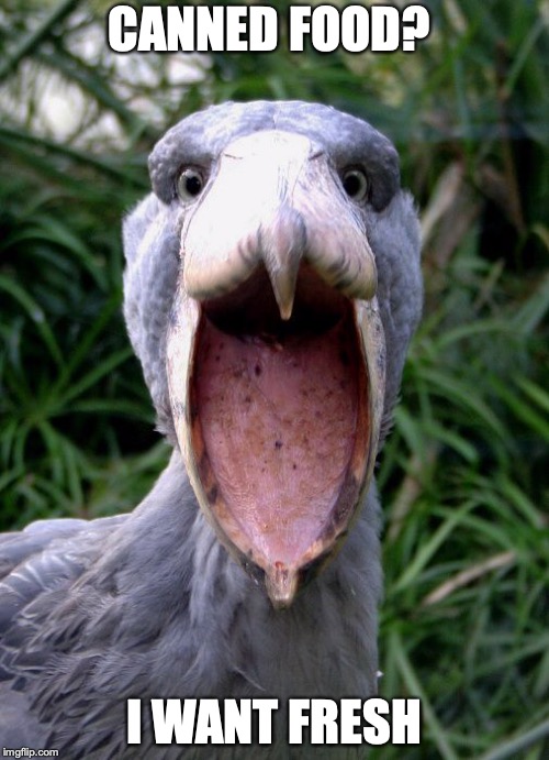 Shoebil birdie | CANNED FOOD? I WANT FRESH | image tagged in shoebil birdie | made w/ Imgflip meme maker