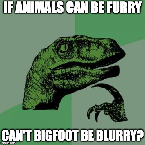 Philosoraptor | IF ANIMALS CAN BE FURRY; CAN'T BIGFOOT BE BLURRY? | image tagged in memes,philosoraptor | made w/ Imgflip meme maker