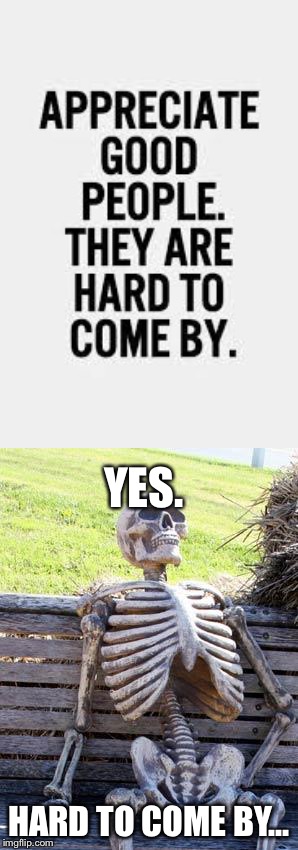 YES. HARD TO COME BY... | image tagged in memes,waiting skeleton | made w/ Imgflip meme maker